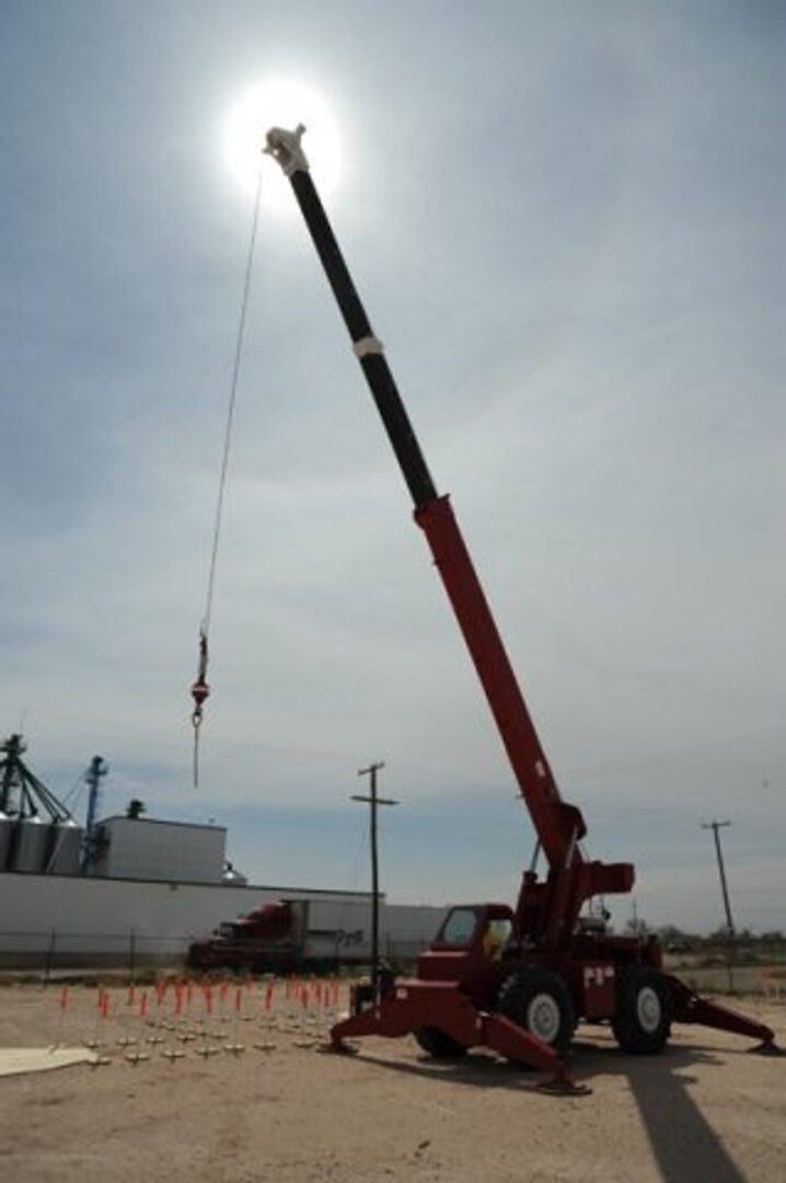 vertical image of crane